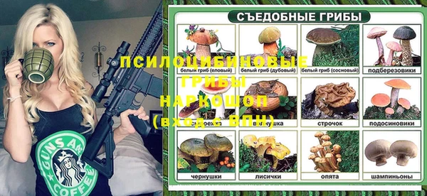 а пвп мука Алзамай