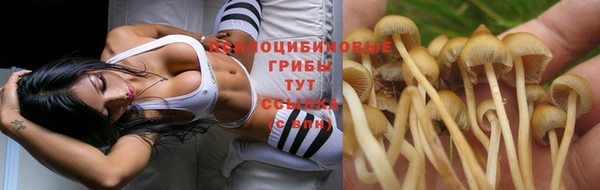 спиды Алексеевка