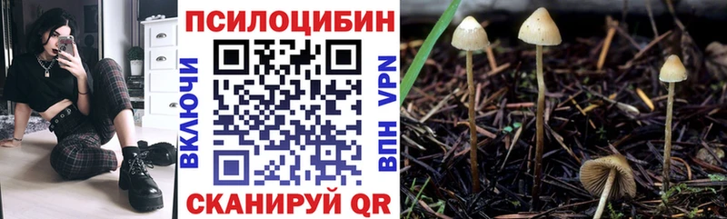 Галлюциногенные грибы Cubensis  Сосенский 